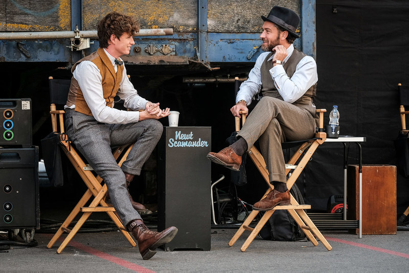 Les Animaux Fantastiques Les Crimes De Grindelwald Distribution Les Animaux fantastiques : Les crimes de Grindelwald VIP (2018) au